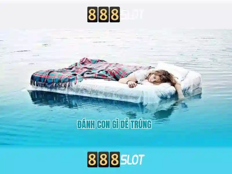 💎bingo carnaval xn88💎