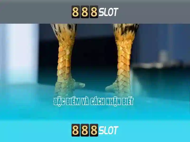 💎888 slot mines gold💎