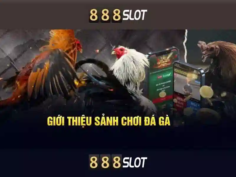  tải app 888slot - 888slot