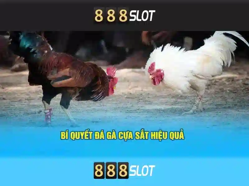 💎sin88 mxx💎 - sin88 texas - hướng dẫn tải app sin88