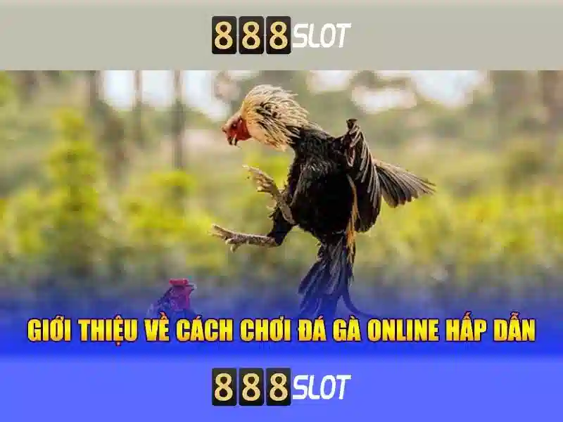 💎trang cá cược đá gà trực tuyến thomo💎