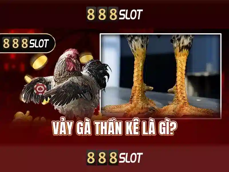 💎nhà máy xi măng lào cai💎