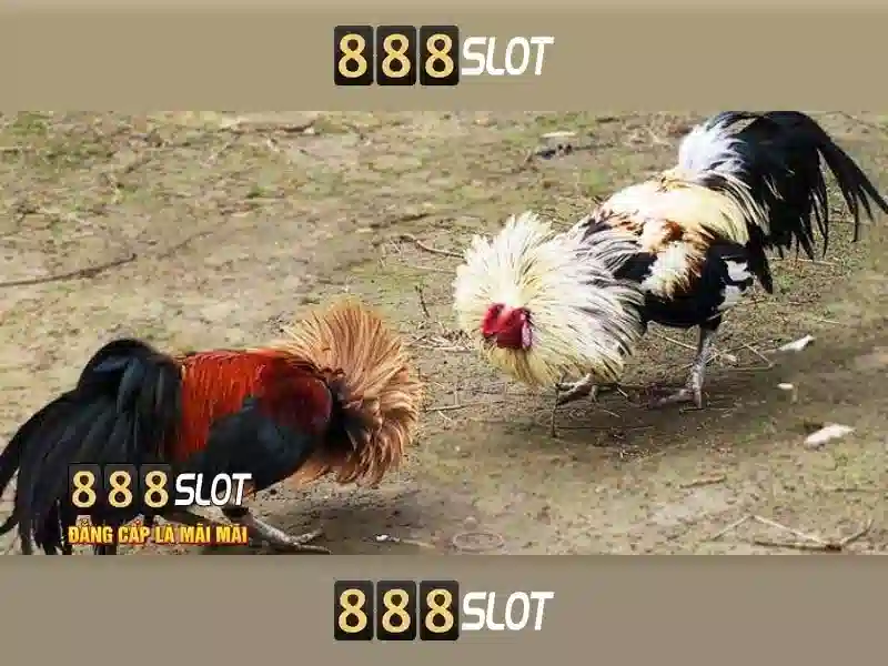 💎xn88 login register philippines download💎