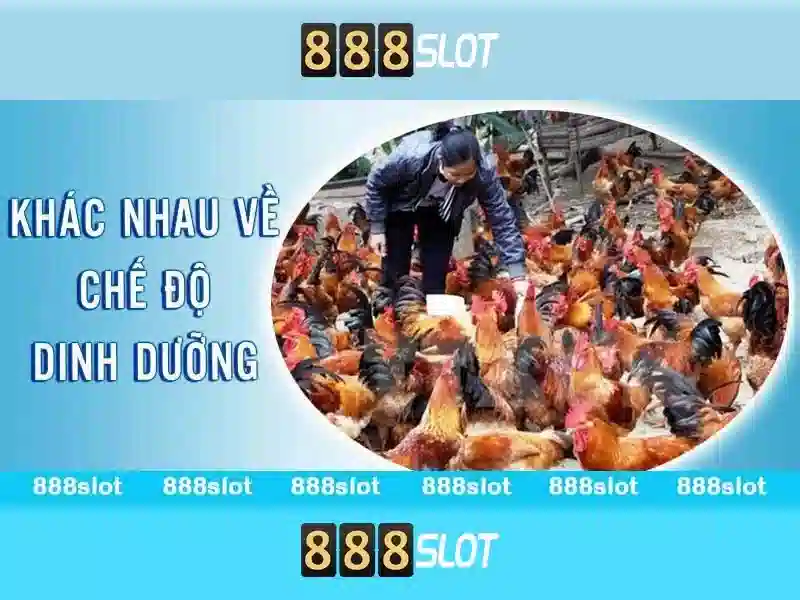 💎tỷ lệ cá cược tây ban nha và đức💎