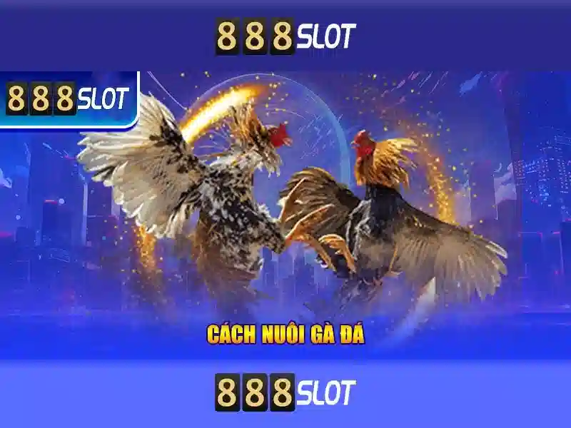 💎nhà cái ku88💎 - nhà cái ku88