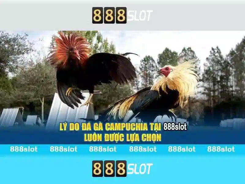 💎loods 66b💎 - 66b,com - 66b nguyễn chí sách