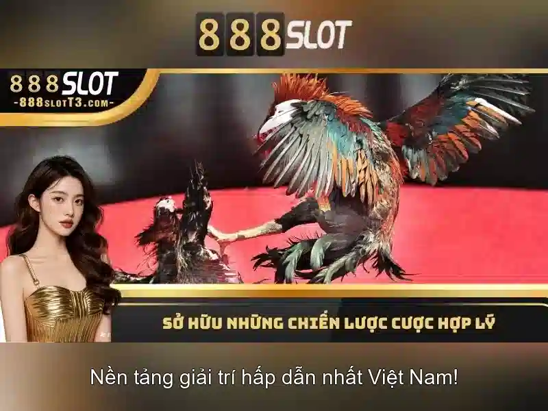💎66b stgb💎 - khuyến mãi 66b - 66b nguyễn sĩ sách phường 15 tân bình