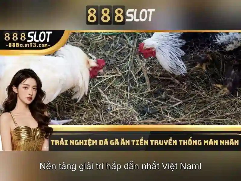 💎bk8 trang cá cược💎