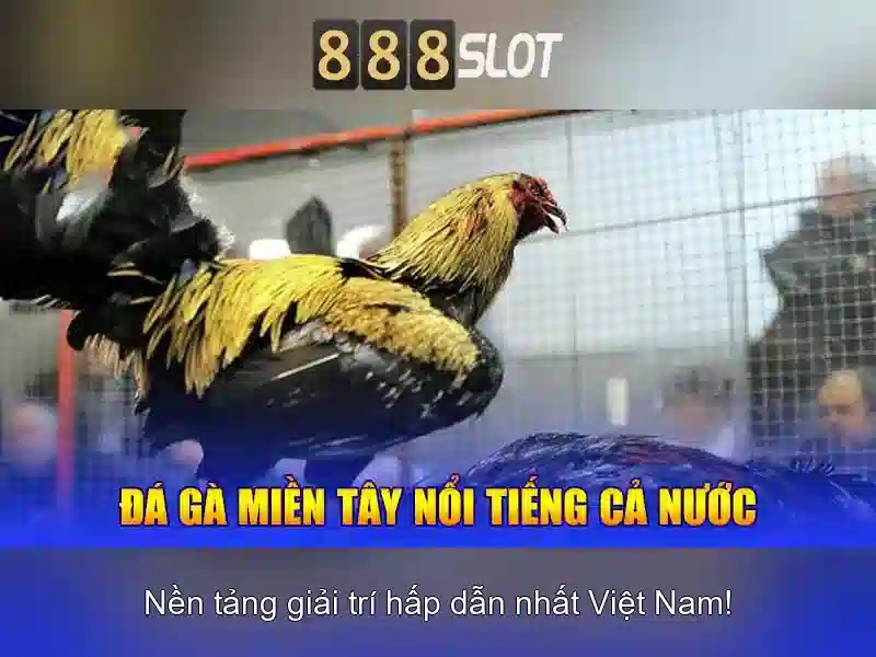 💎888 slot color game hack💎