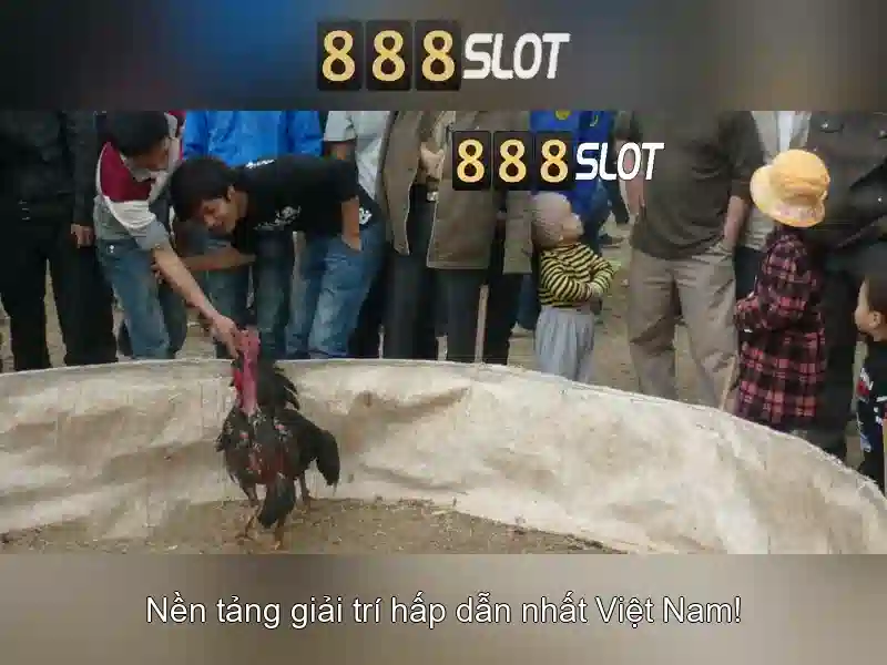 💎888 slot slot liverpool tactics💎