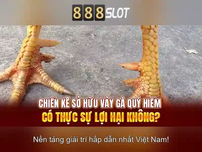 💎cửa hàng nhịp sống tây bắc💎