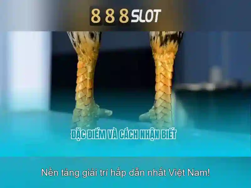 💎slot 888 club💎 - fc 888 slot - soju 888 slot