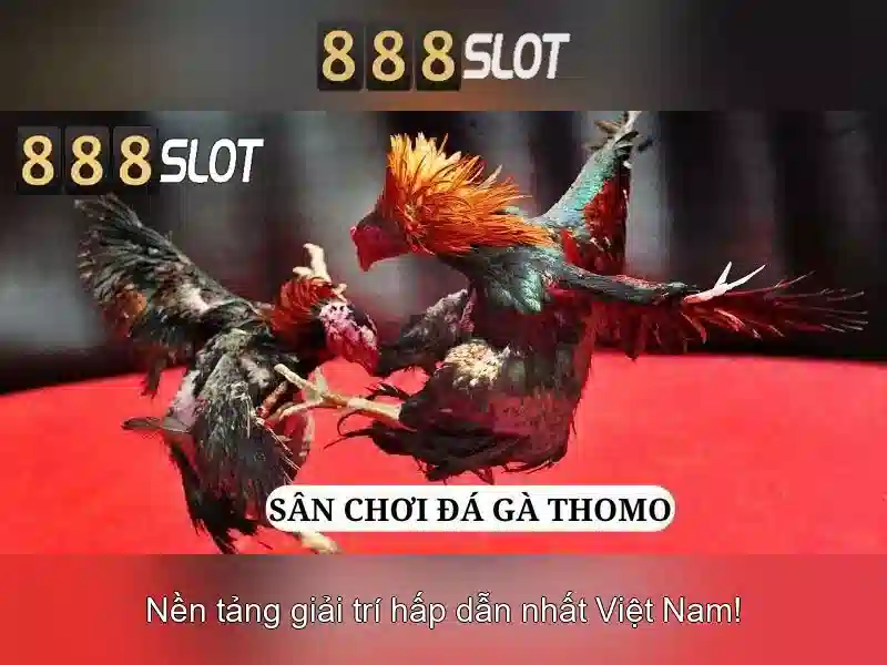 💎kèo bóng đá nhà cái tv💎
