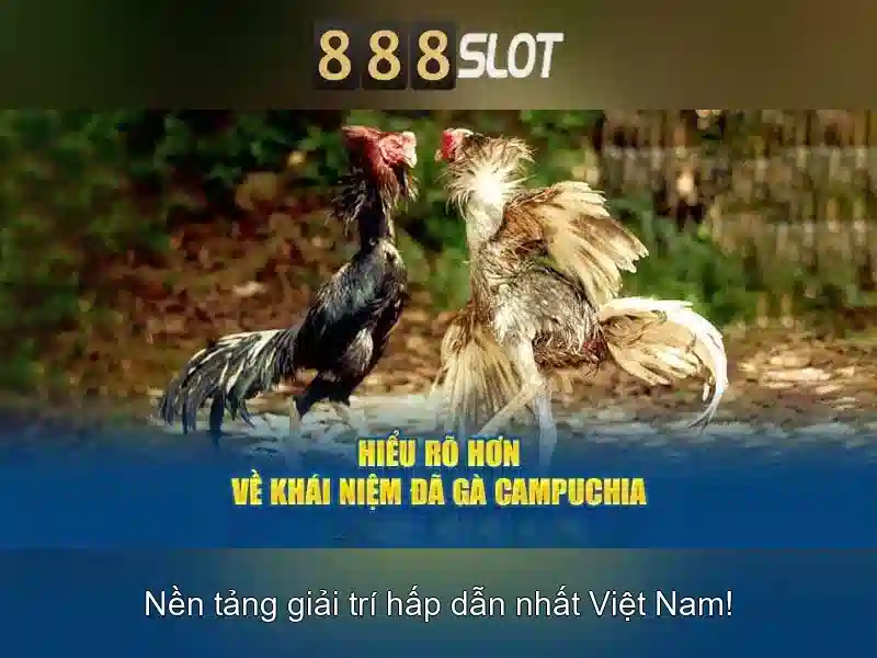 💎keo nha cai keoto💎