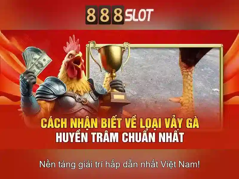 💎nhà xe đại ngân cái bè💎