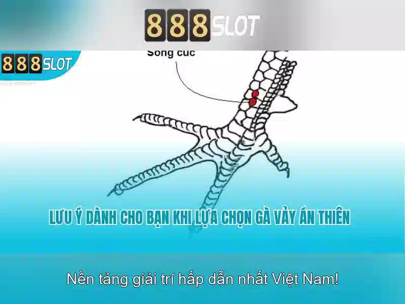 💎manclub tải game💎 - manclub 868 - manclub blu